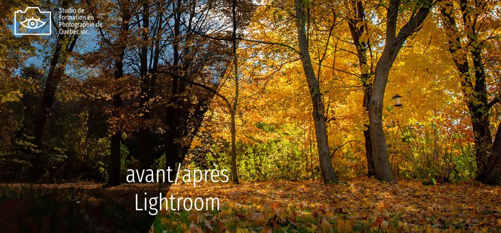 Lightroom traitement d'image - Studio de Formation en Photographie de Québec
