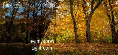 Lightroom traitement d'image - Studio de Formation en Photographie de Québec