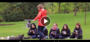 video-exc-mouvement