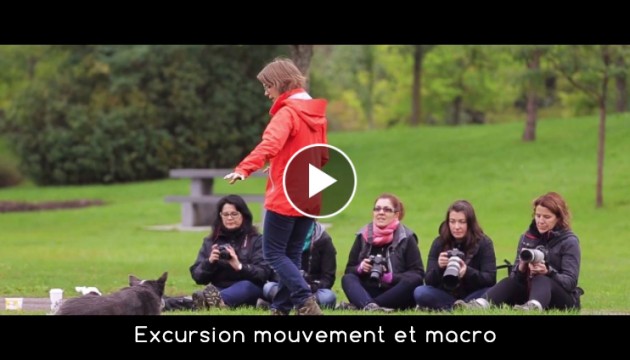video-exc-mouvement