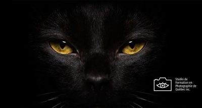 Cours 1- Les fonctions de base avec le Studio de Formation en photographie de Québec