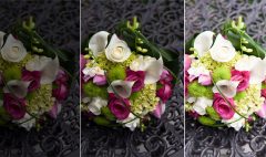 Un article sur la vitesse - Studio de formation photo Qc