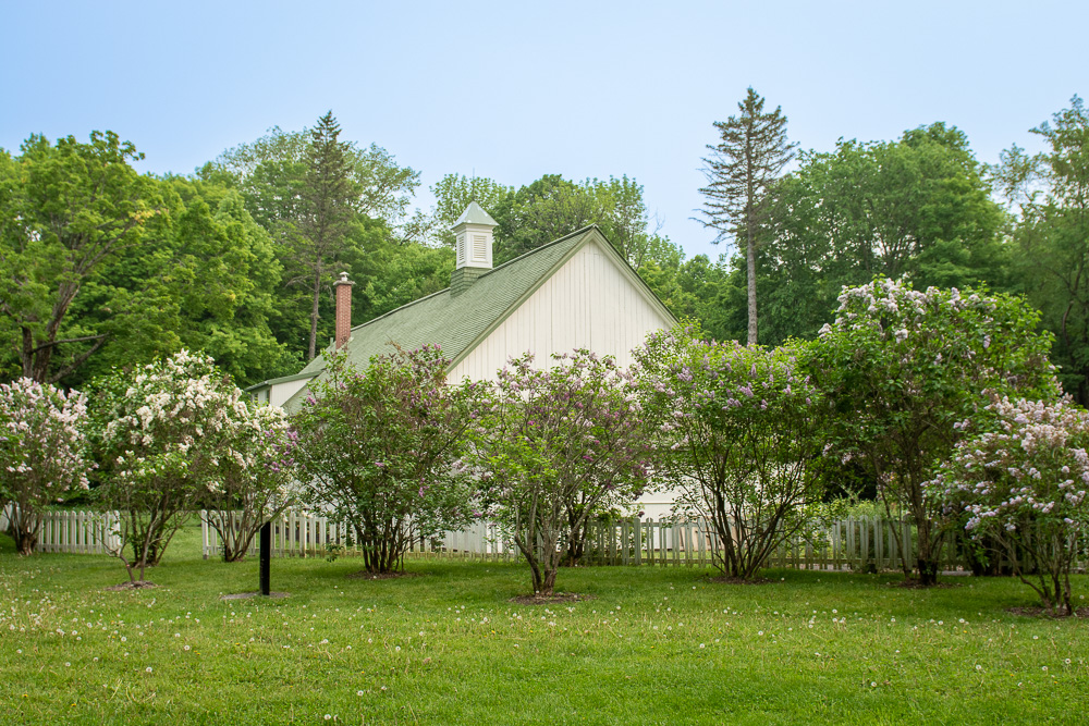 Une excursion photo avec le cellulaire pour des paysages dans le Parc Bois-de-Coulonge