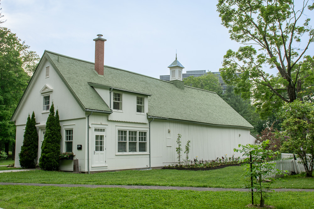 Une excursion photo avec le cellulaire pour des paysages du Parc Coulonge
