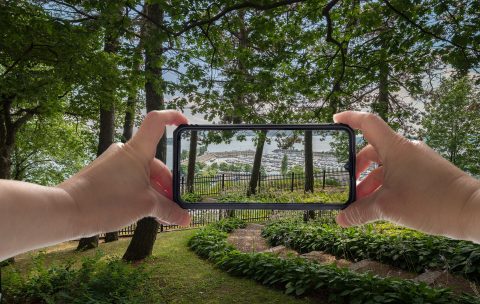 Une excursion photo avec le cellulaire pour des paysages dans le bois