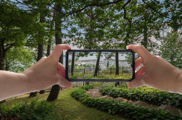 Une excursion photo avec le cellulaire pour des paysages dans le bois